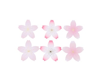 Papierblüten Sakura 90 Stück 50-55mm
