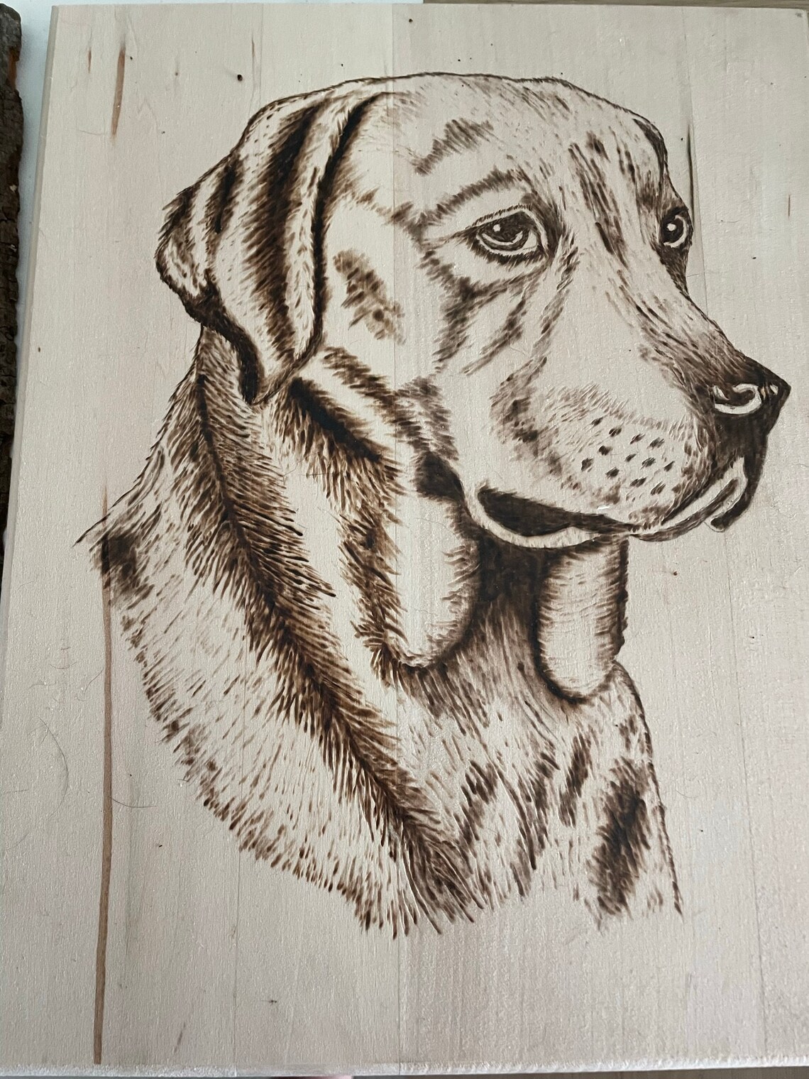 PYROGRAPHY Wood Burning Handmade CHEETA or Faithful LABRADOR - Etsy