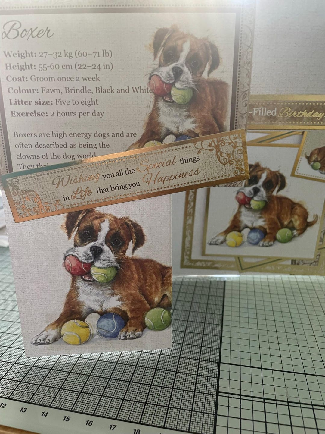 Handmade Puppies & Dogs Birthday Card With Breed Info - Etsy