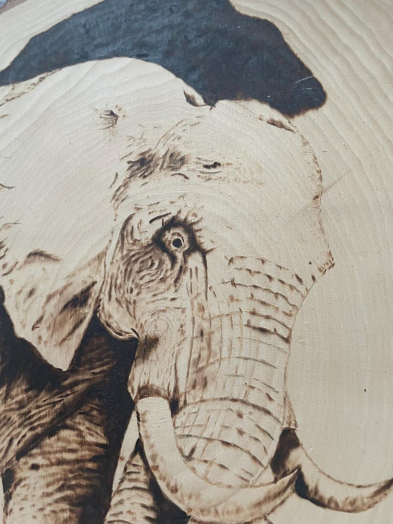 Pyrography Labrador Portrait: Wood Burning Animal Art - Etsy