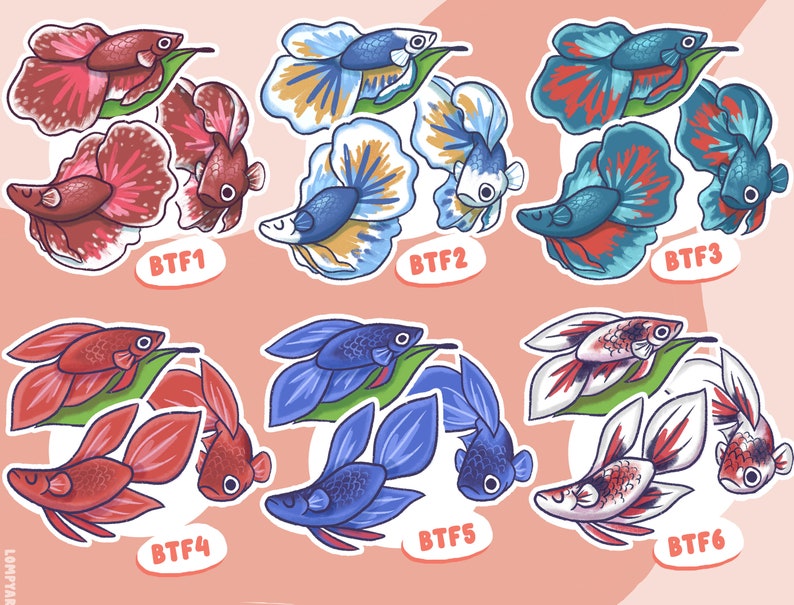 May include: Six colorful sticker designs featuring betta fish with flowing fins. Each sticker features two betta fish with a green leaf and a white background. The stickers are labeled BTF1 through BTF6.