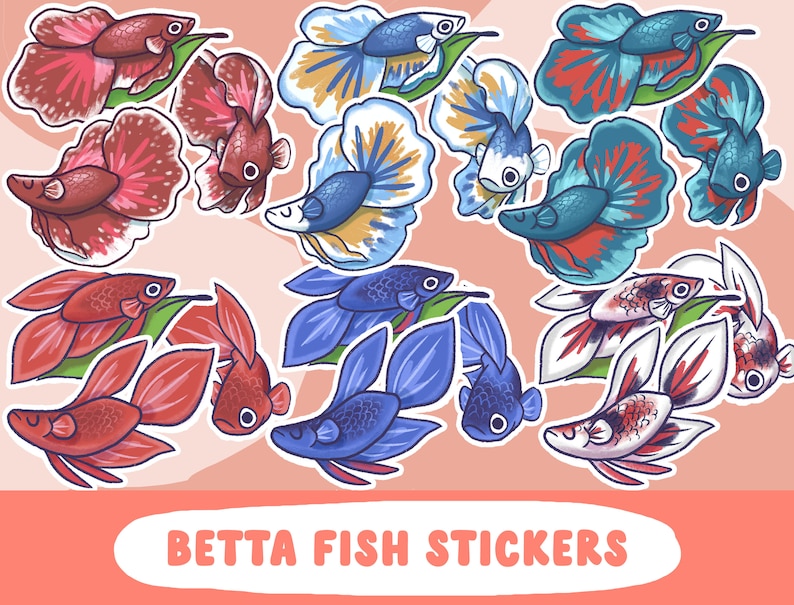 May include: A set of 12 colorful betta fish stickers. The stickers feature red, blue, and white betta fish with flowing fins and leafy green accents. The stickers are perfect for adding a touch of whimsy to journals, laptops, water bottles, and more.