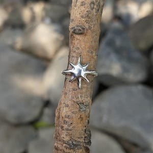 May include: A polished silver ring featuring a prominent star-shaped design with six pointed rays. The ring is displayed wrapped around a textured, light brown wooden branch, showcasing the metallic lustre and smooth finish of the star ornament.