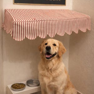 Peut inclure: Un golden retriever est assis sous un auvent à rayures rouges et blanches, avec une enseigne « BOULANGERIE » au-dessus. Un banc blanc contient deux bols en métal, dont un avec de la nourriture. Le chien semble heureux.
