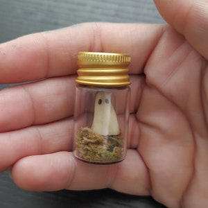 Pet Ghost In A Jar, Glow In The Dark Ghost, Mini Ghost, Ghost Decor, Halloween, Spooky, Halloween Gift, Spooky Season