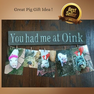 Best Pig Gifts, You Had Me at Oink
