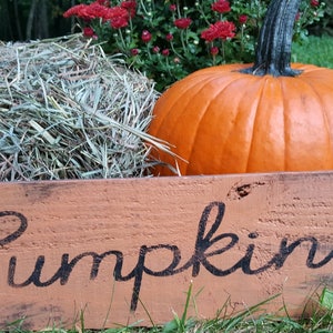 Pumpkin Sign, Fall Decor, Wood Sign