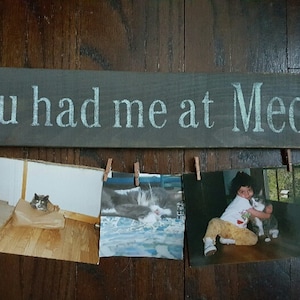 You Had Me At Meow Cat Sign, Animal Sayings, Cat Dad