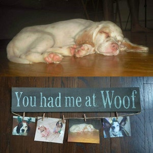 Funny Dog Gift, You Had Me At Woof, Dog Lover Gifts
