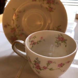 Theodore Haviland _New York _Pink Spray Cup and Saucer