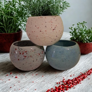 May include: Three speckled ceramic planters in light pink, gray, and blue, each filled with greenery. The planters are arranged on a light wood surface, with scattered red accents. The largest planter is at the top, with the other two below.