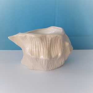 Ceramic Sea Shell Planter: Food Safe Candy Dish