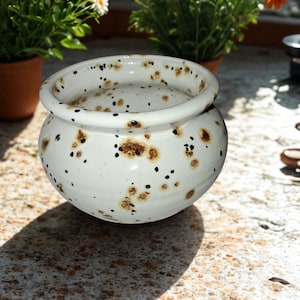 May include: A white ceramic pot with a rounded shape and a wide rim. The pot is speckled with brown and black spots. The pot sits on a stone surface, with potted plants in the background.