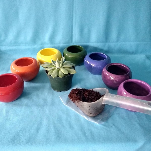Succulent Pots / Herb Pot / Ceramic Succulent Pot / Ceramic Flower Pot / Window Sill / Plant Lovers Gift Idea / Gardeners Gift / Pot Set