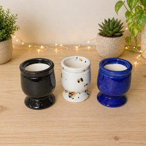 May include: Three small ceramic planters in black, white with brown spots, and blue. Each planter has a rounded body and a pedestal base. The planters are empty and ready for small plants or succulents. The background includes other potted plants.