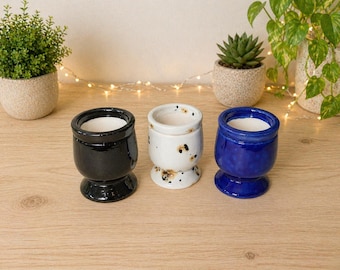 Small Ceramic Self Watering Planter: Leaf Cutting Starter Pot