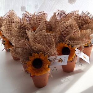 Wedding favours, party favours, sunflowers, mini terracotta pots, ladybird, lady bug, favours, favors, unique favours, bomboniere, guestgift