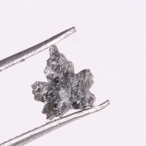 Pode incluir: Uma gema bruta, cinzenta, em forma de folha de bordo, é segurada por uma pinça prateada sobre um fundo branco. A gema tem uma superfície texturizada e bordas irregulares.