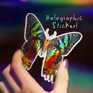 Sunset Moth Holographic Sticker, Vinyl holo sticker, color changing sticker, Sunset moth gifts, entomology gift, butterfly art, holo art