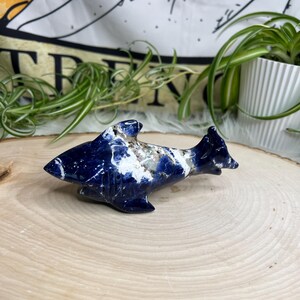 Large Sodalite Shark Crystal Carving, Sodalite Shark Carving, Shark Carving, High Quality Sodalite Shark Carving