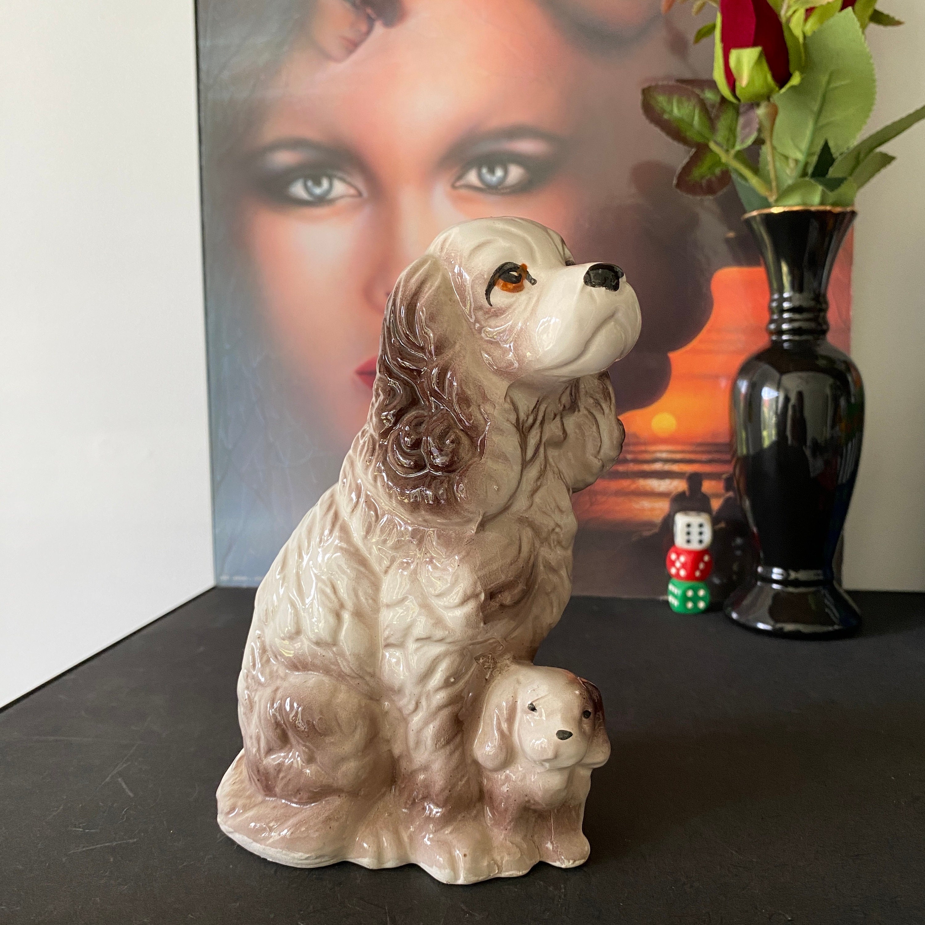 Cocker spaniel bowls shop australia