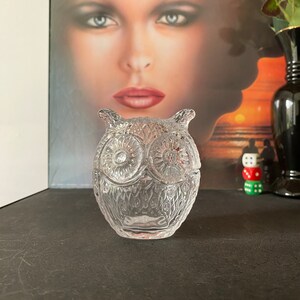 Vintage Glass Owl Dish - Jewellery Trinket Dish - jewelry Glass art crystal glass storage - MCM mid century modern retro