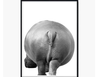 Hippo Butt - Etsy Hippo Butt - Etsy