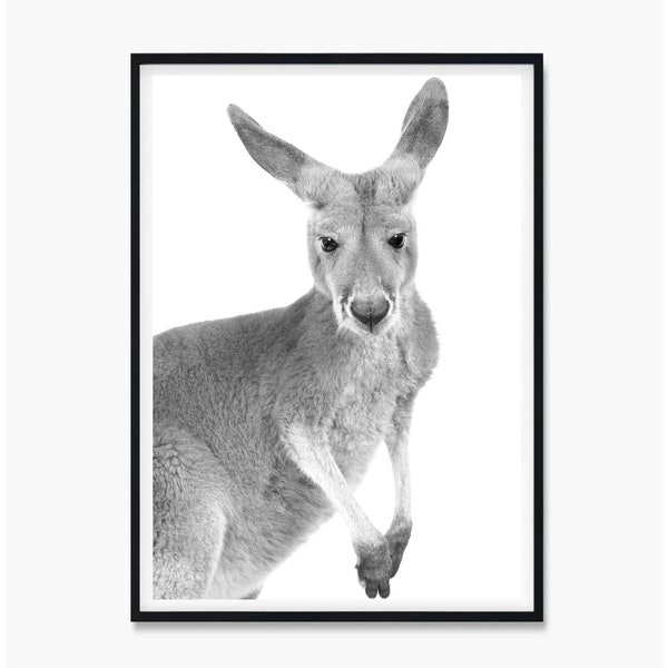 Kangaroo Print Etsy Australia