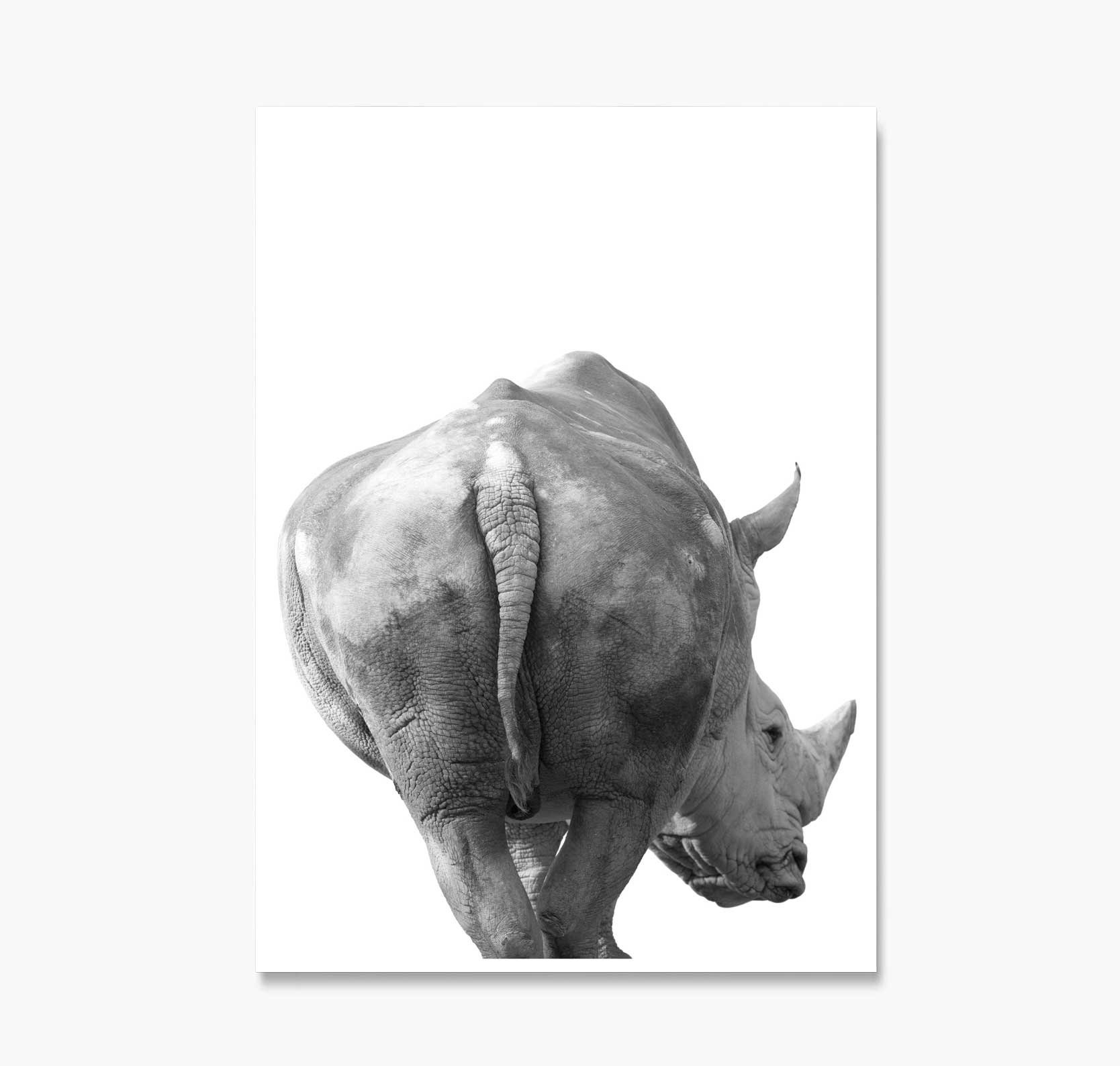 Rhino Butt Print, Rhino Art Rhino Bum Prints, Poster, Safari Poster, Rhinoceros Art, Wall Art, Etsy Animal Kids Posters, Nursery - Safari Wall