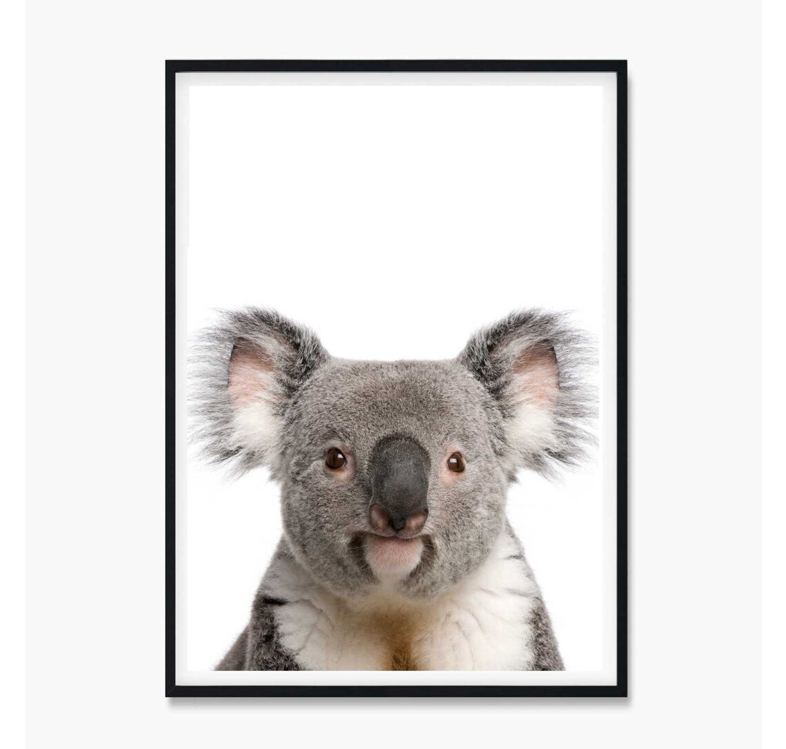 Koala Print Koala Poster Koala Wall Art Black and White Etsy