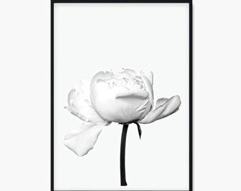 Single White Peony Print, White Flower Print, White Flower Poster, White Peony Flower Wall Art for Bedrooms, White Flower Prints, White Art