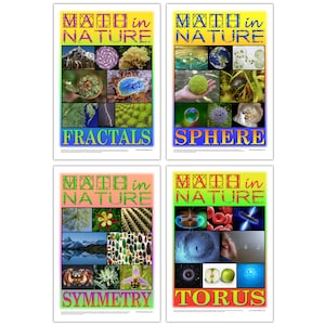 Math in Nature Set of 4 Classroom Math Posters: Fractals, Sphere, Symmetry, and Torus, Educational for Middle School, High School, College