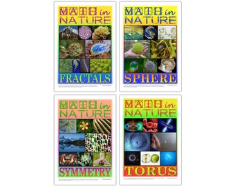 Math in Nature Set of 4 Classroom Posters: Fractals, Sphere, Symmetry, and Torus