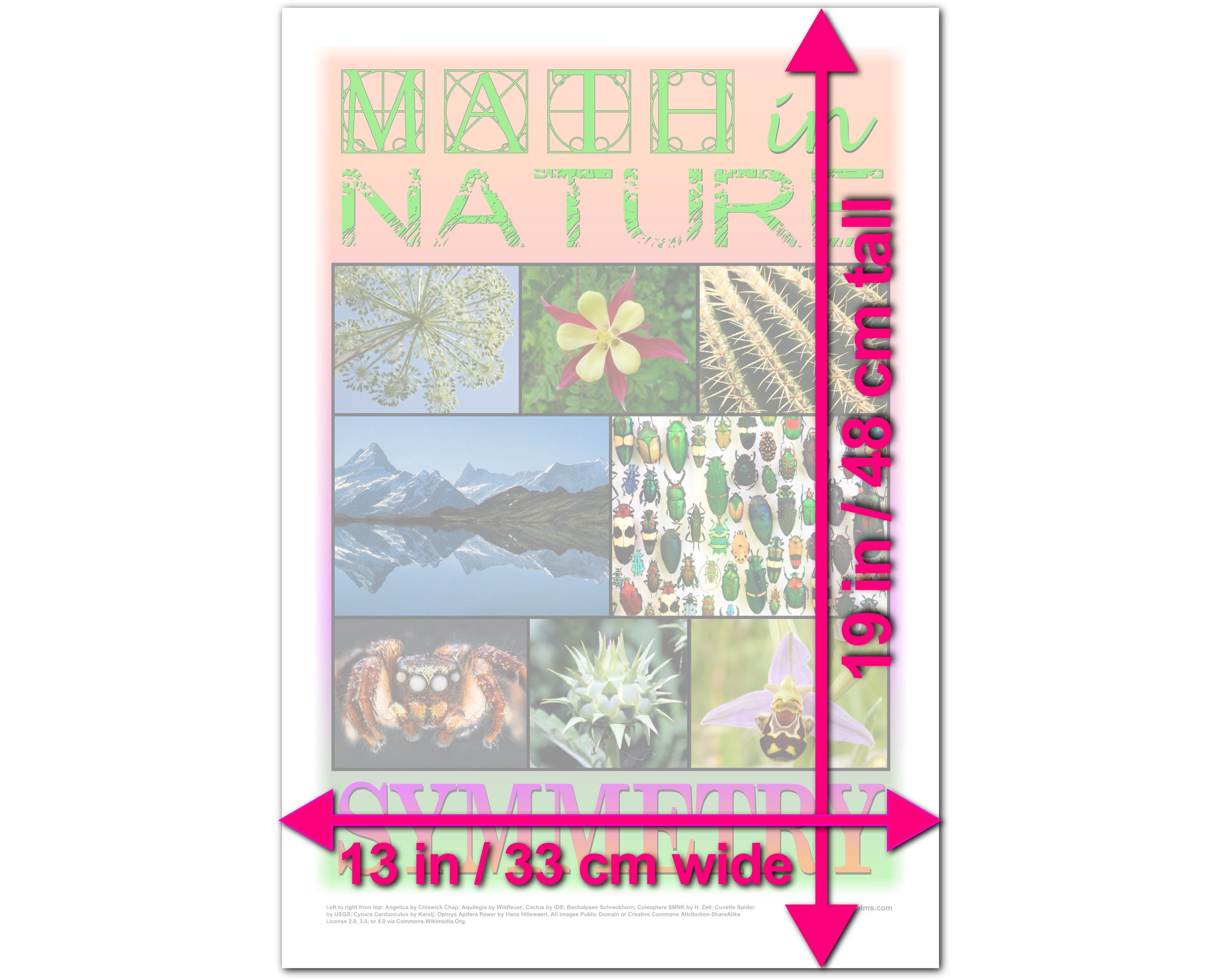 Math in Nature Classroom Math Poster: Symmetry, Educational Wall Art ...
