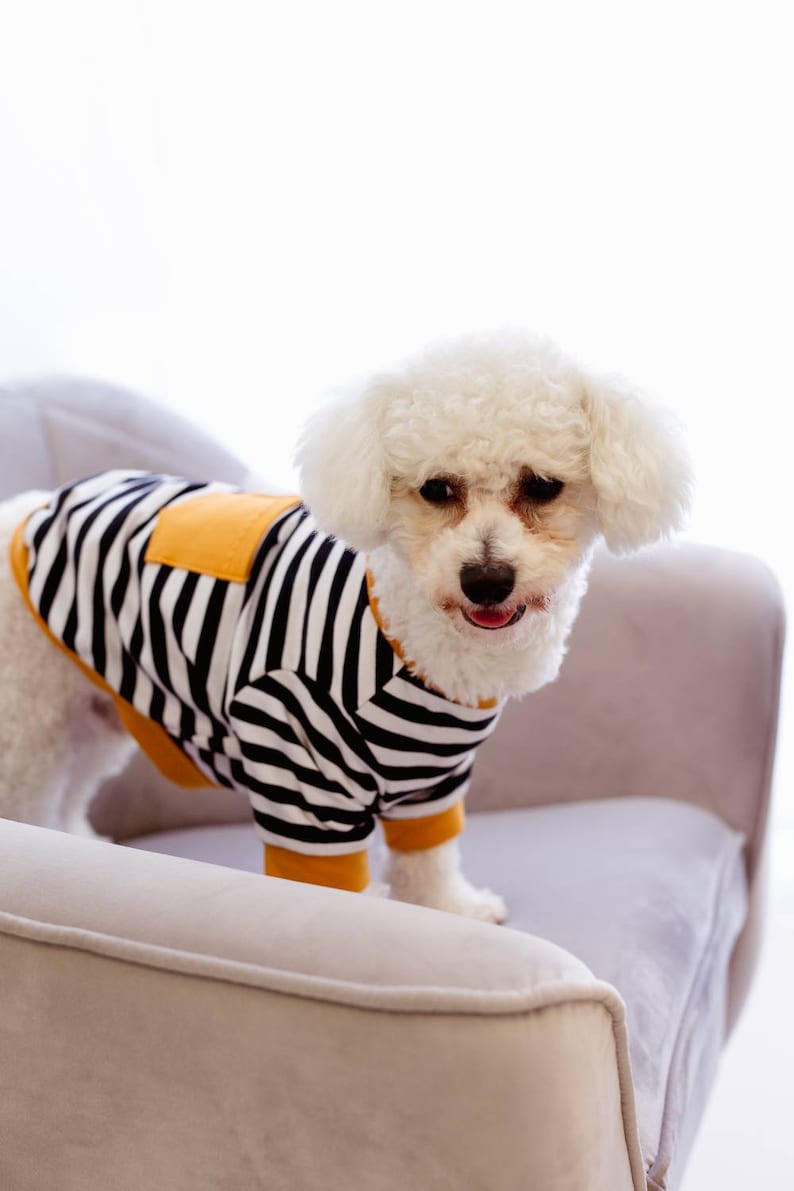 Handmade Dog Hoodie clothes for Small Size Dogs Dog Sweater Etsy