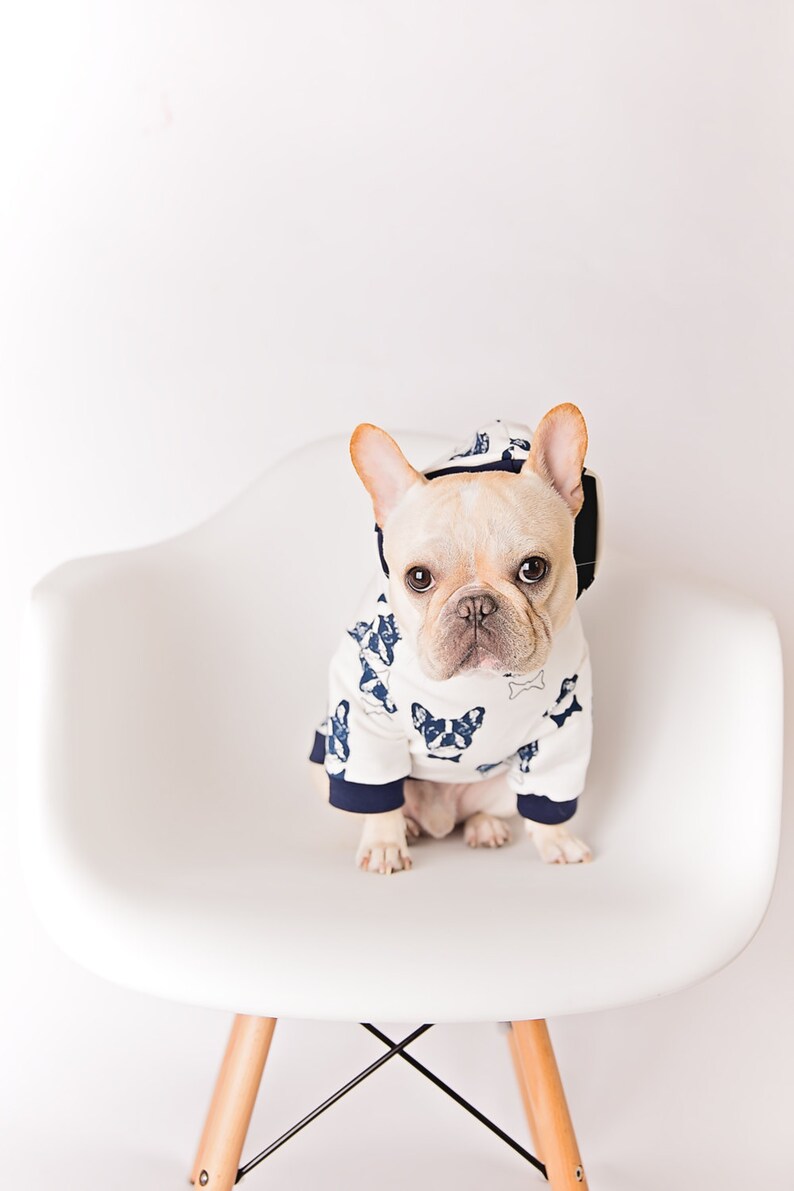 Dog Hoodie clothes for small size dogs dog sweater, Dog clothes, Pet clothing, French bulldog image 5