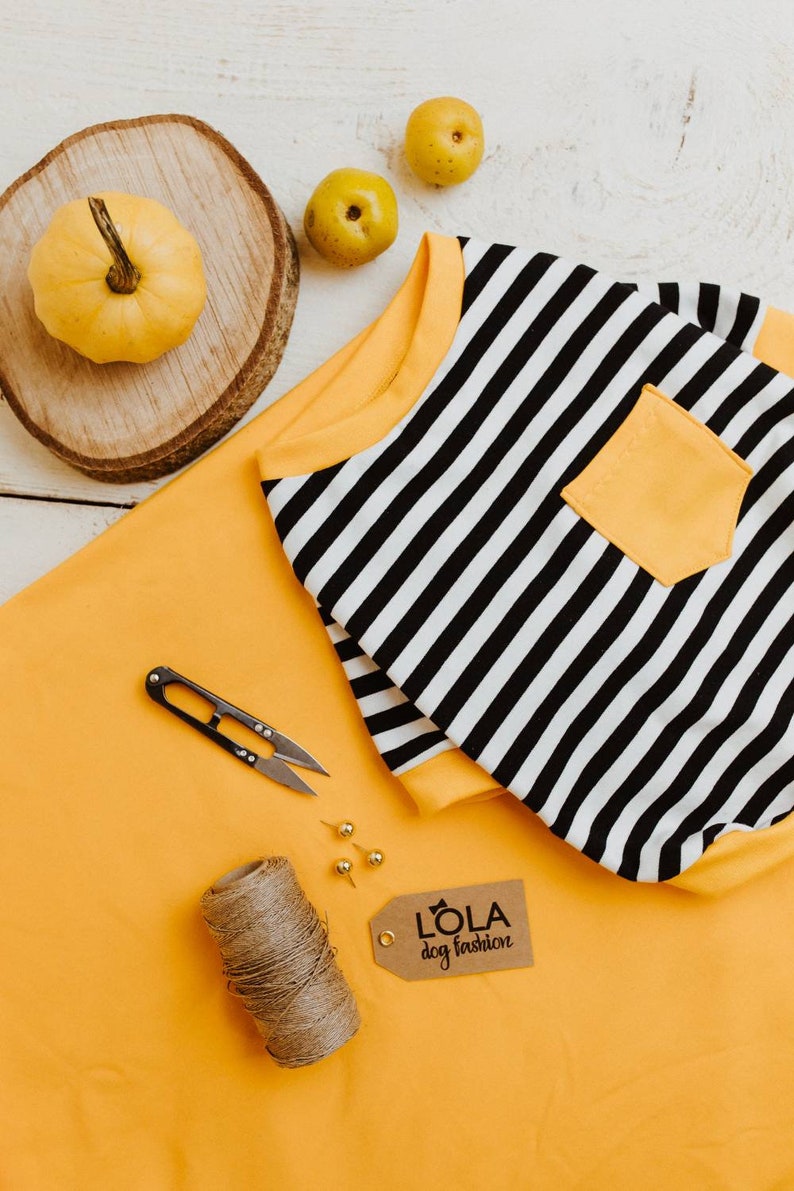 Handmade Dog Hoodie clothes for Small Size Dogs Dog Sweater Etsy