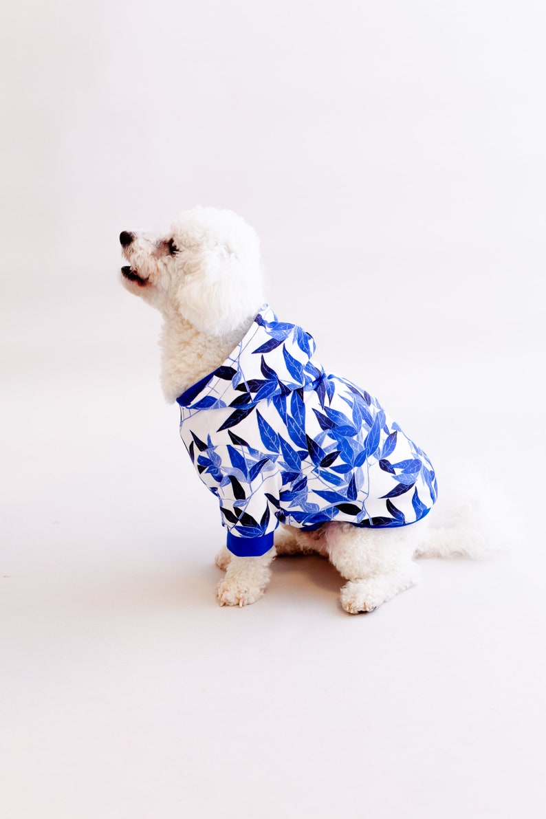 Organic cotton, Size XXL ready to ship,Dog clothing, dog sweater, Dog clothes, Pet clothing, handmade dog hoodie, French bulldog image 1