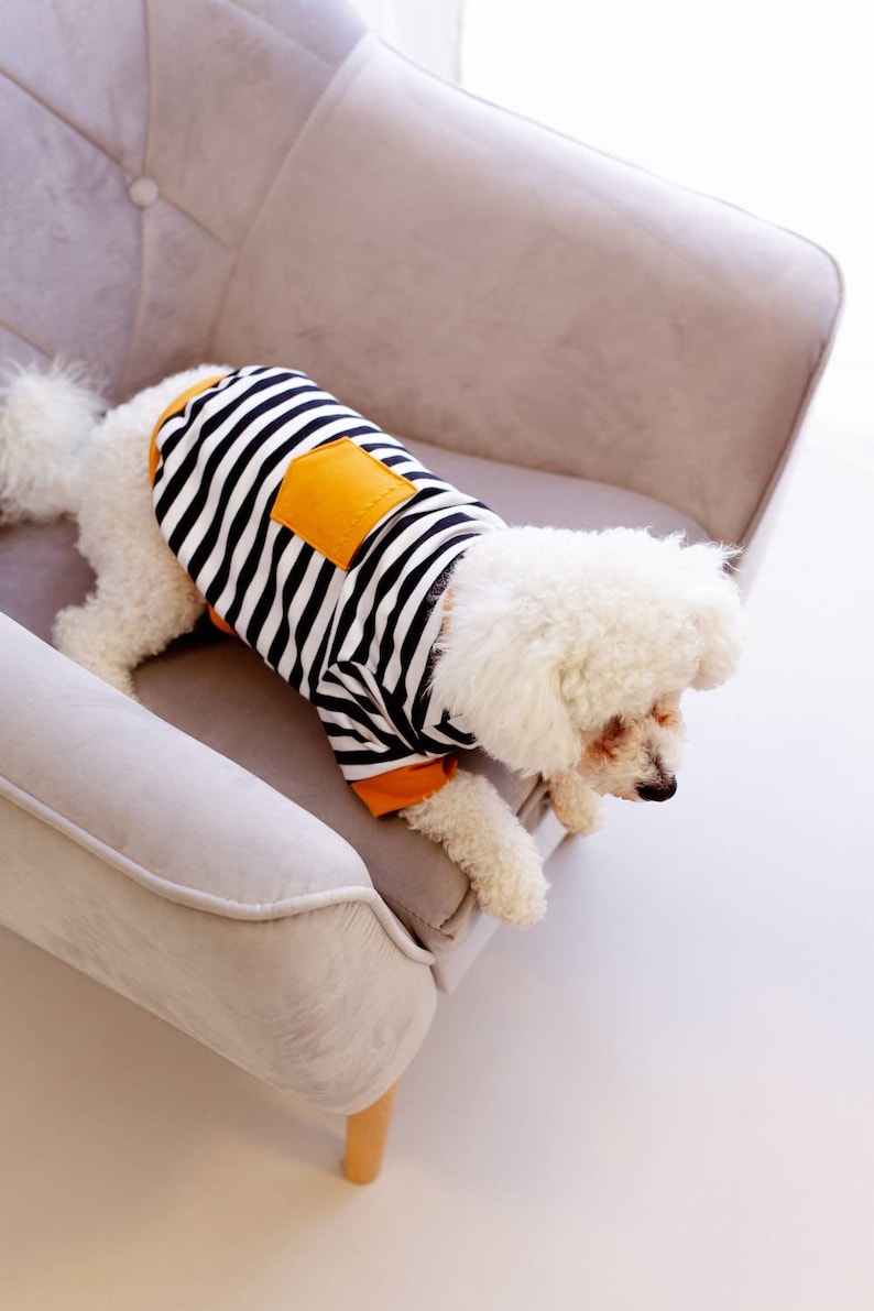 Handmade Dog Hoodie clothes for Small Size Dogs Dog Sweater Etsy