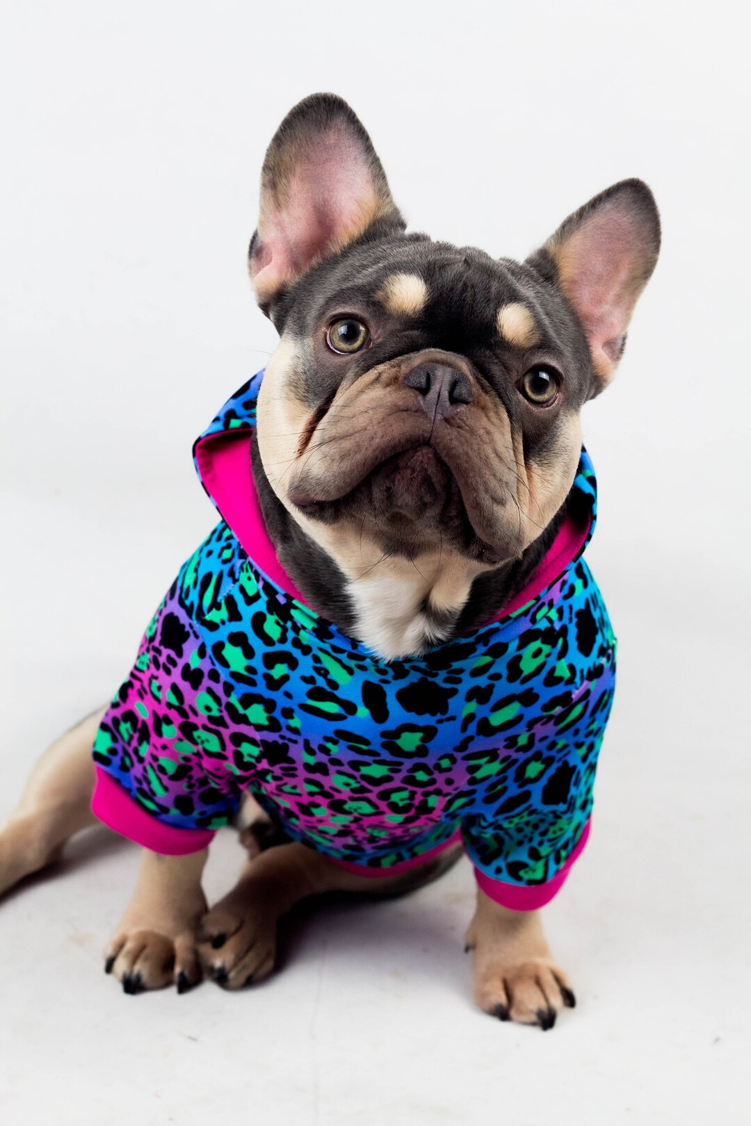 Handmade French Bulldog Hoodie Cozy Custom Fit Bulldog Sweater Unique