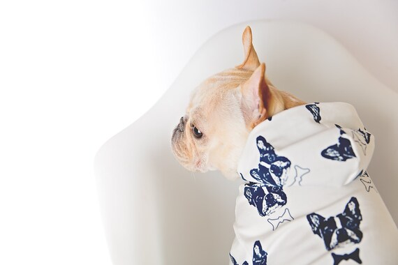 Etsy french top bulldog clothes