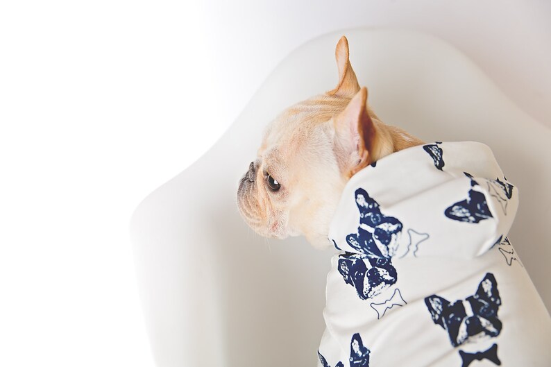 Hunde Hoodie Kleidung für kleine Hunde Hundepullover, Hundekleidung, Haustierkleidung, Französische Bulldogge Bild 1