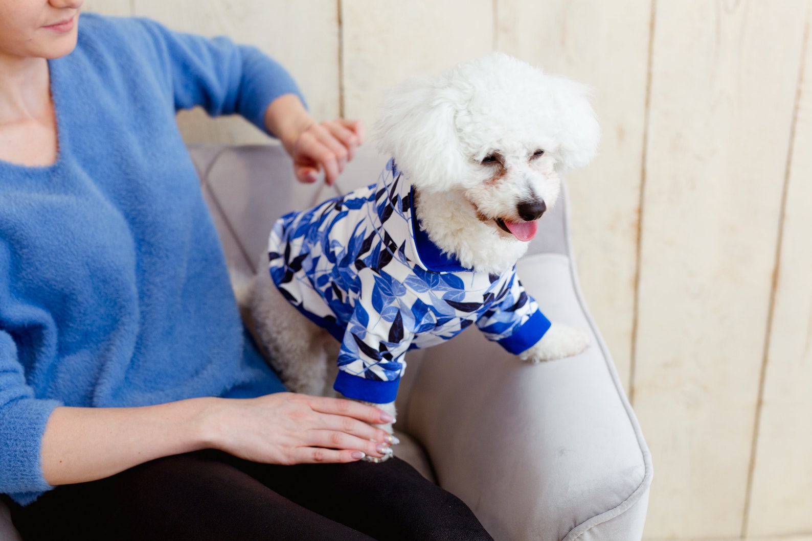 Organic Cotton Dog Clothing Dog Sweater Dog Clothes Pet Etsy