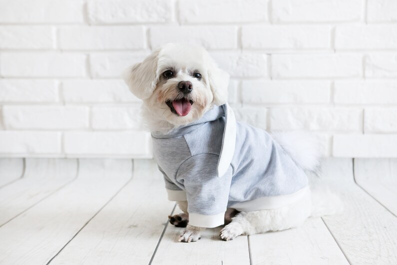 Yellow Bunny Ear Dog Hoodie – Cute & Comfy main image 0