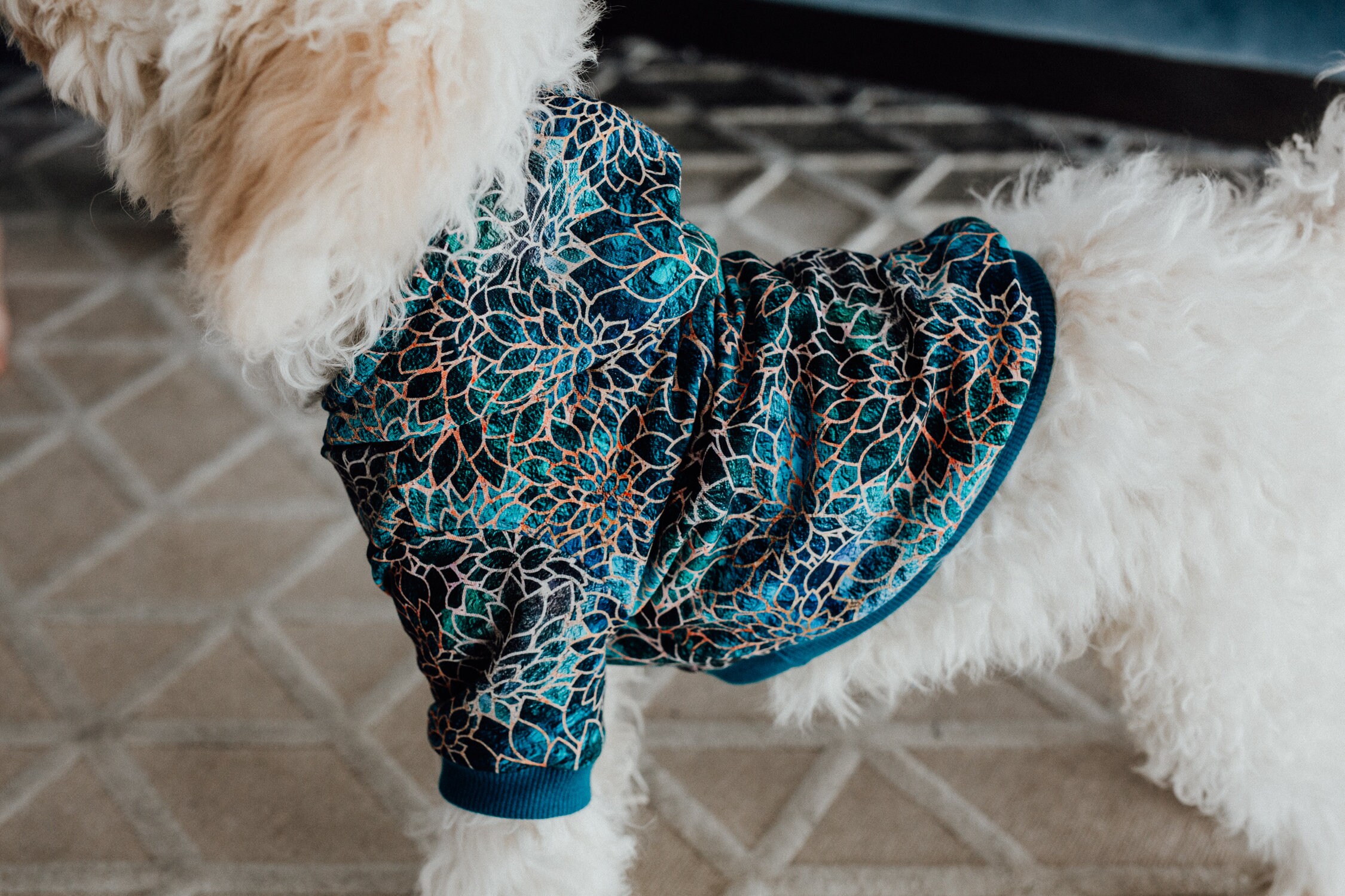 Dog clothing dog sweater Dog clothes Pet clothing handmade Etsy