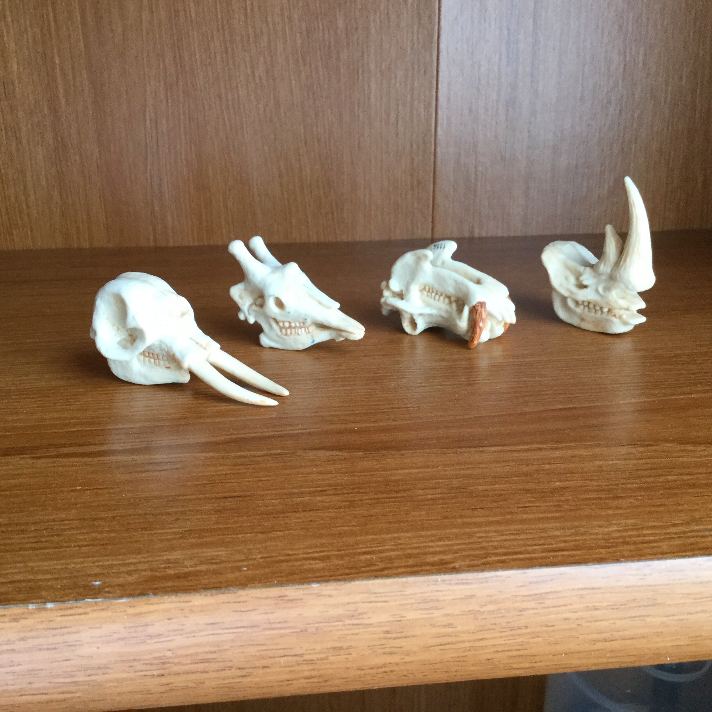 Plastic dinosaurs head miniature dinosaurs heads dollhouse Etsy