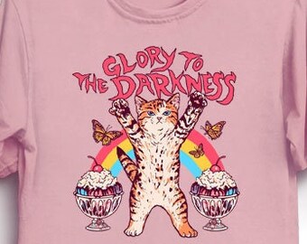 May include: Pink t-shirt with a graphic of a cat with a rainbow and the text "Glory to the Darkness".