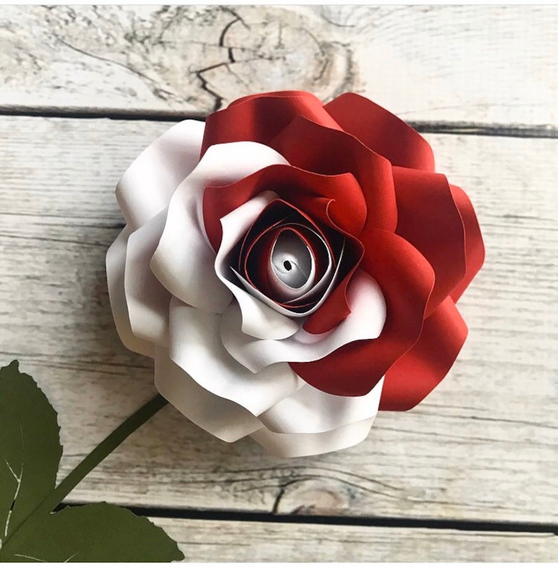 Painting Roses Two-tone Roses Paper Roses Alice in - Etsy