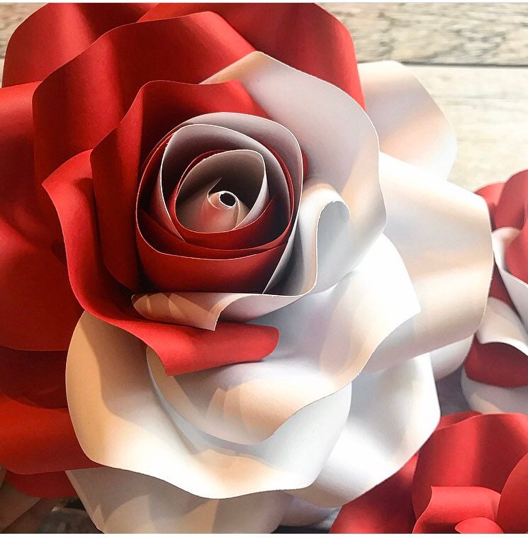 Painting Roses Two-tone Roses Paper Roses Alice in - Etsy