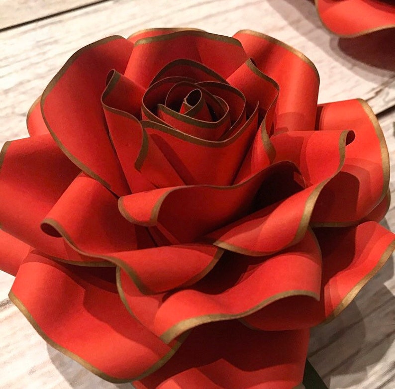 Gold-rimmed Paper Roses Disney Beauty and the Beast Paper - Etsy